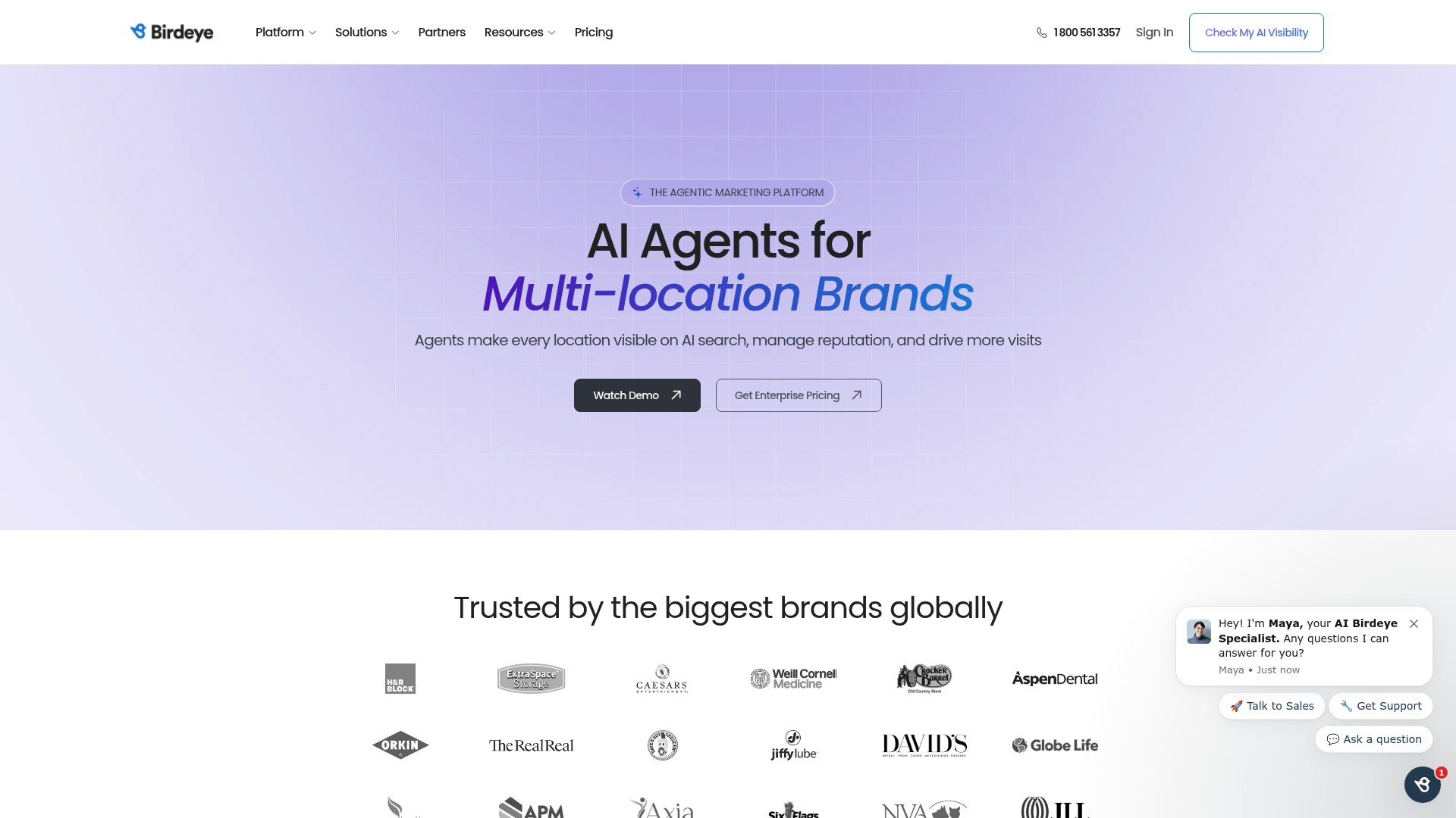 Birdeye homepage screenshot