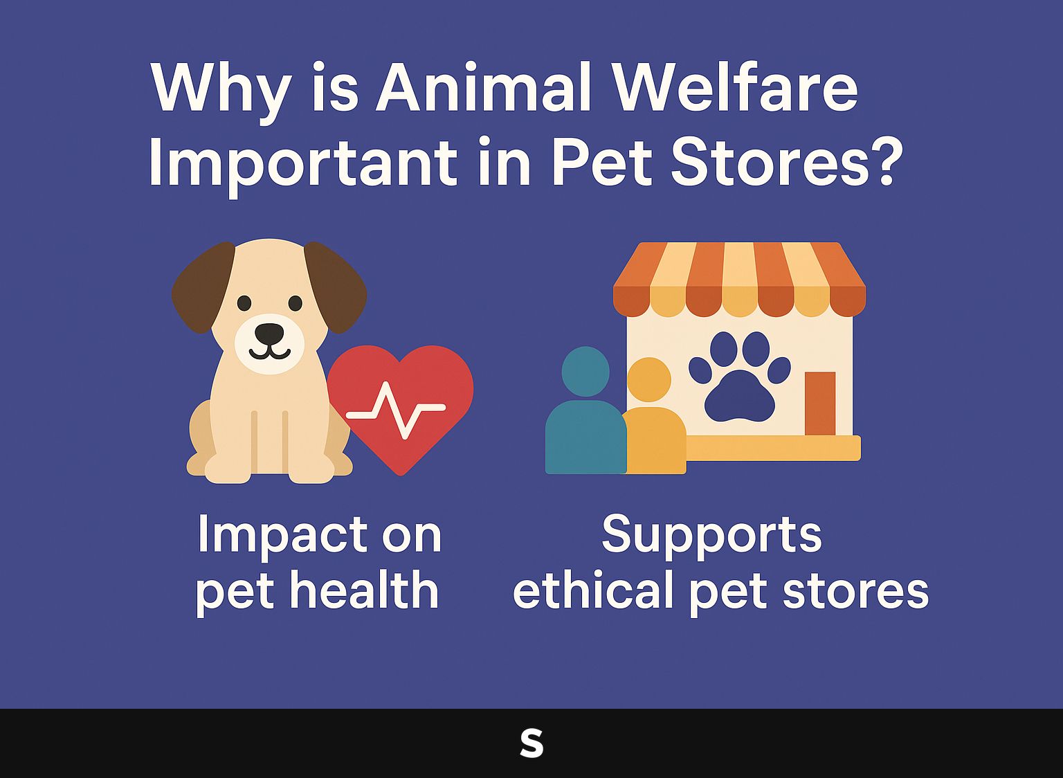 Why is Animal Welfare Important in Pet Stores?