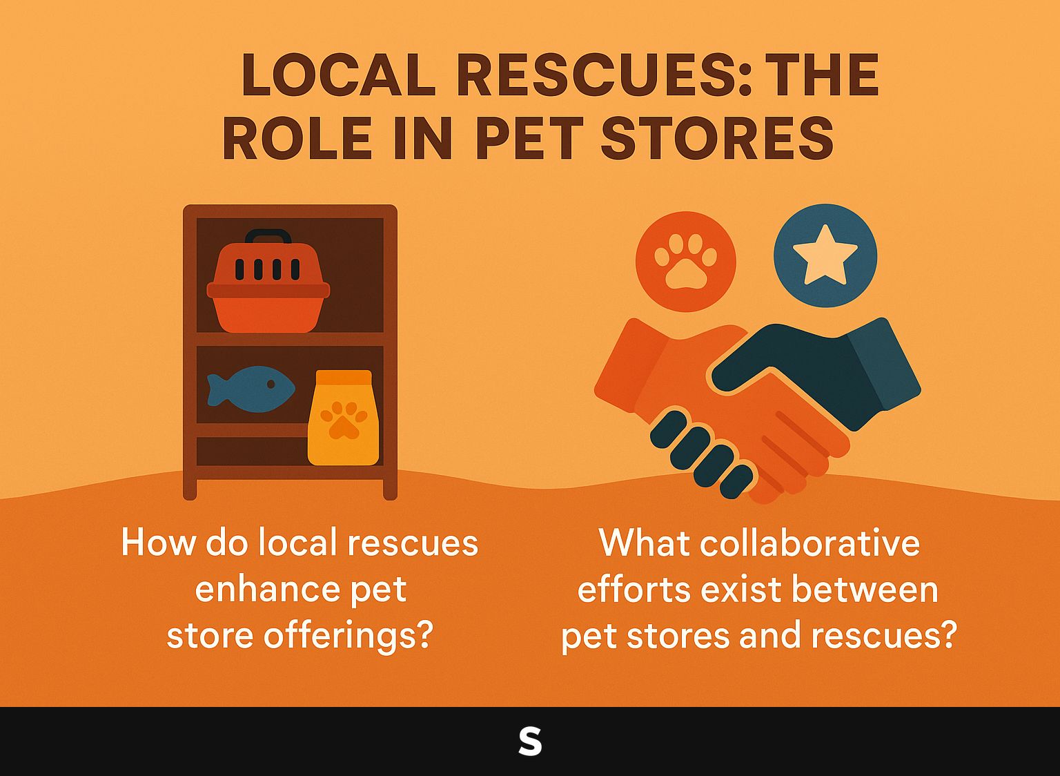 Contextual Vector: The Role of Local Rescues in Pet Stores
